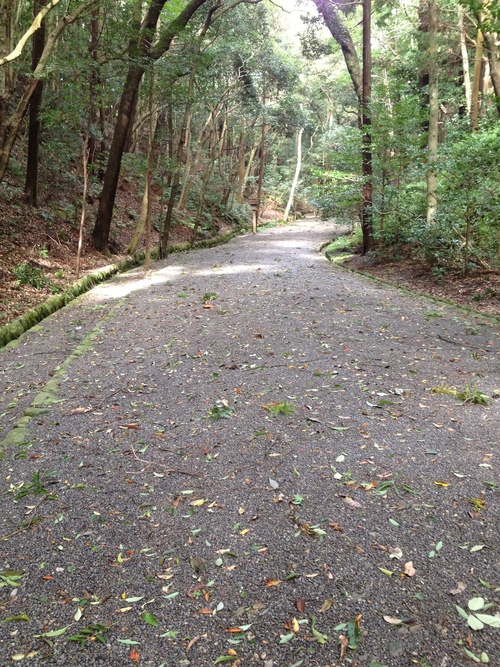 f0081311_1337211.jpg