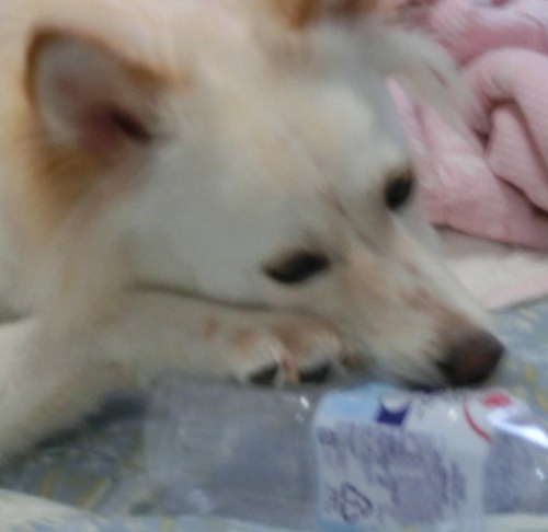 e0254813_0141394.jpg