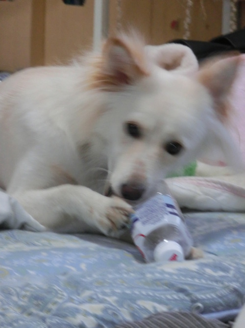 e0254813_0151655.jpg