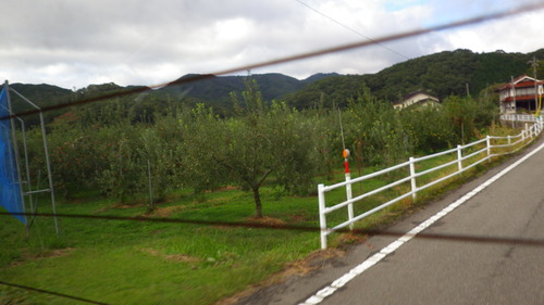 a0218118_9342419.jpg