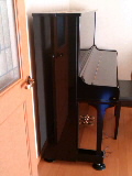 e0112619_1535144.jpg