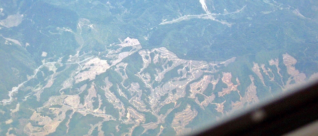 e0002820_6541442.jpg