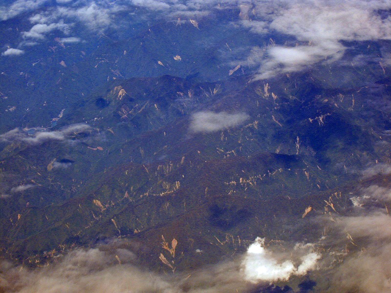 e0002820_705295.jpg