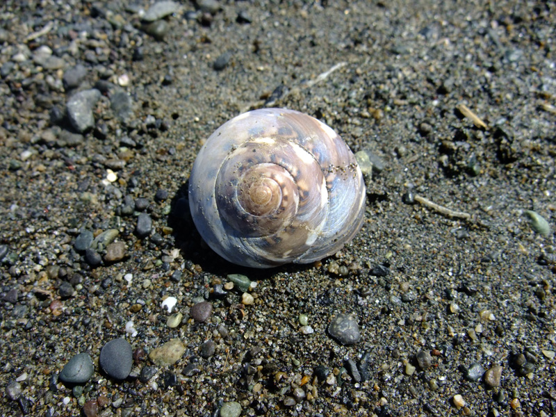 e0189021_18303092.jpg