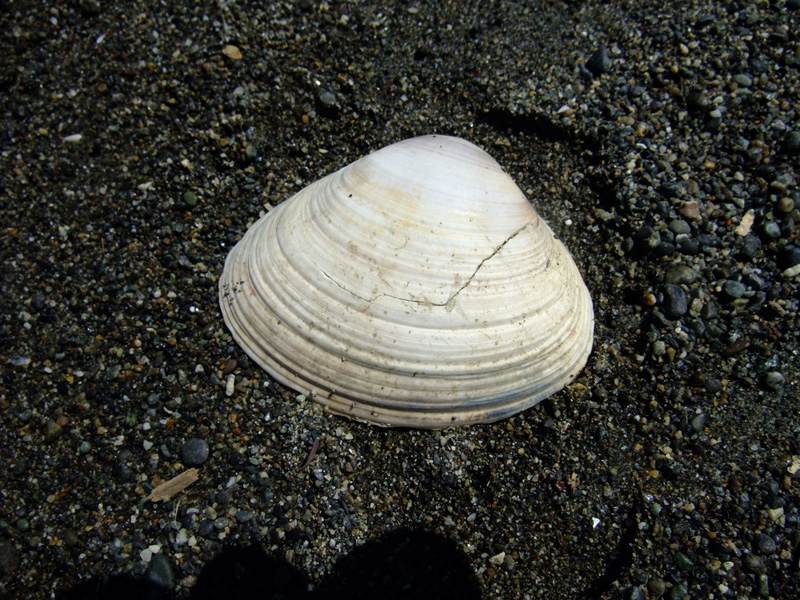 e0189021_18332319.jpg