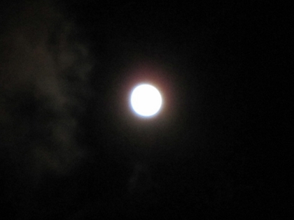 a0105023_041298.jpg