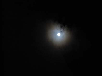 a0219423_19524341.jpg