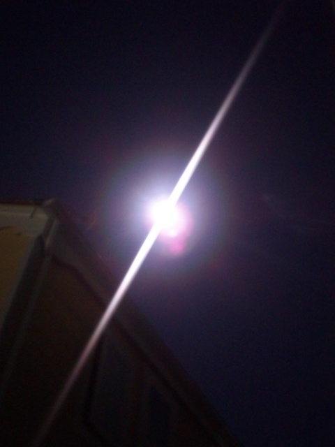 b0199924_1440553.jpg