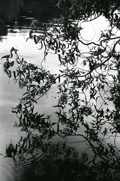 f0182924_184316100.jpg