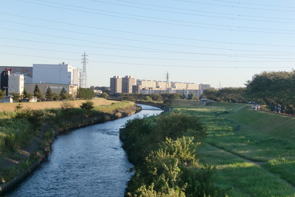 b0203925_7471367.jpg