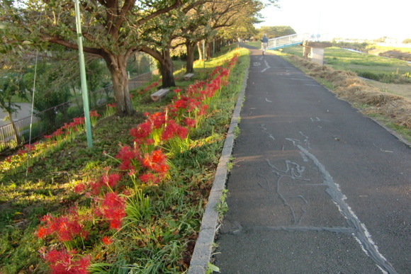 b0203925_7473838.jpg