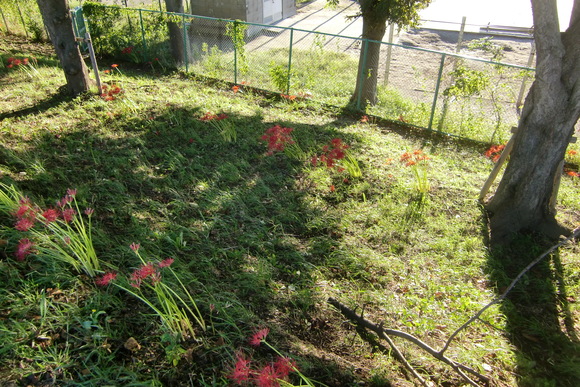 b0203925_748358.jpg