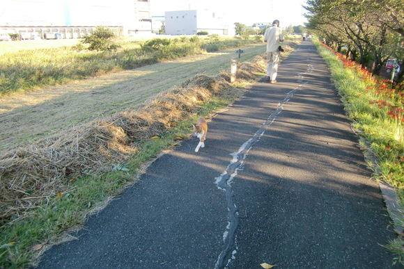 b0203925_7492566.jpg