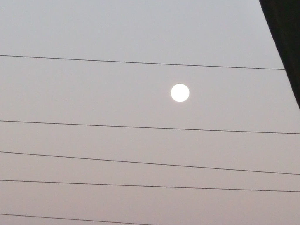 b0203925_7505373.jpg