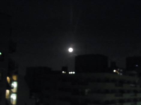 f0108825_10485663.jpg