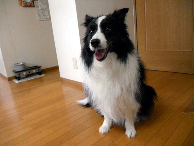 d0059230_049593.jpg