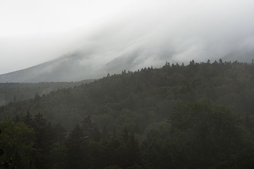 e0025030_8164337.jpg