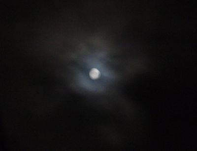 f0132230_0585876.jpg