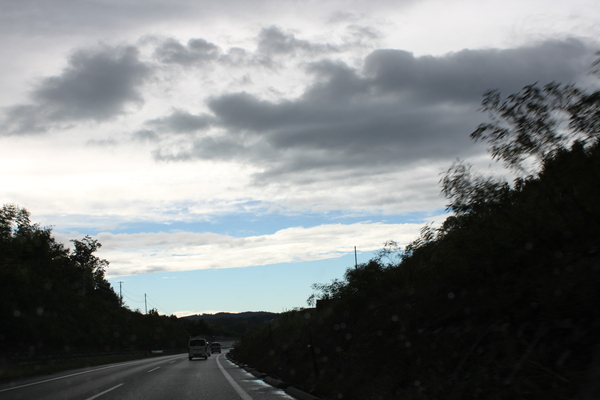 a0139631_1949910.jpg