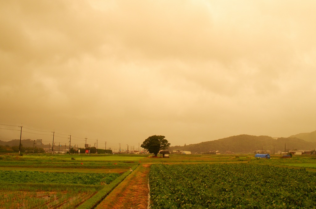 c0106831_20254437.jpg