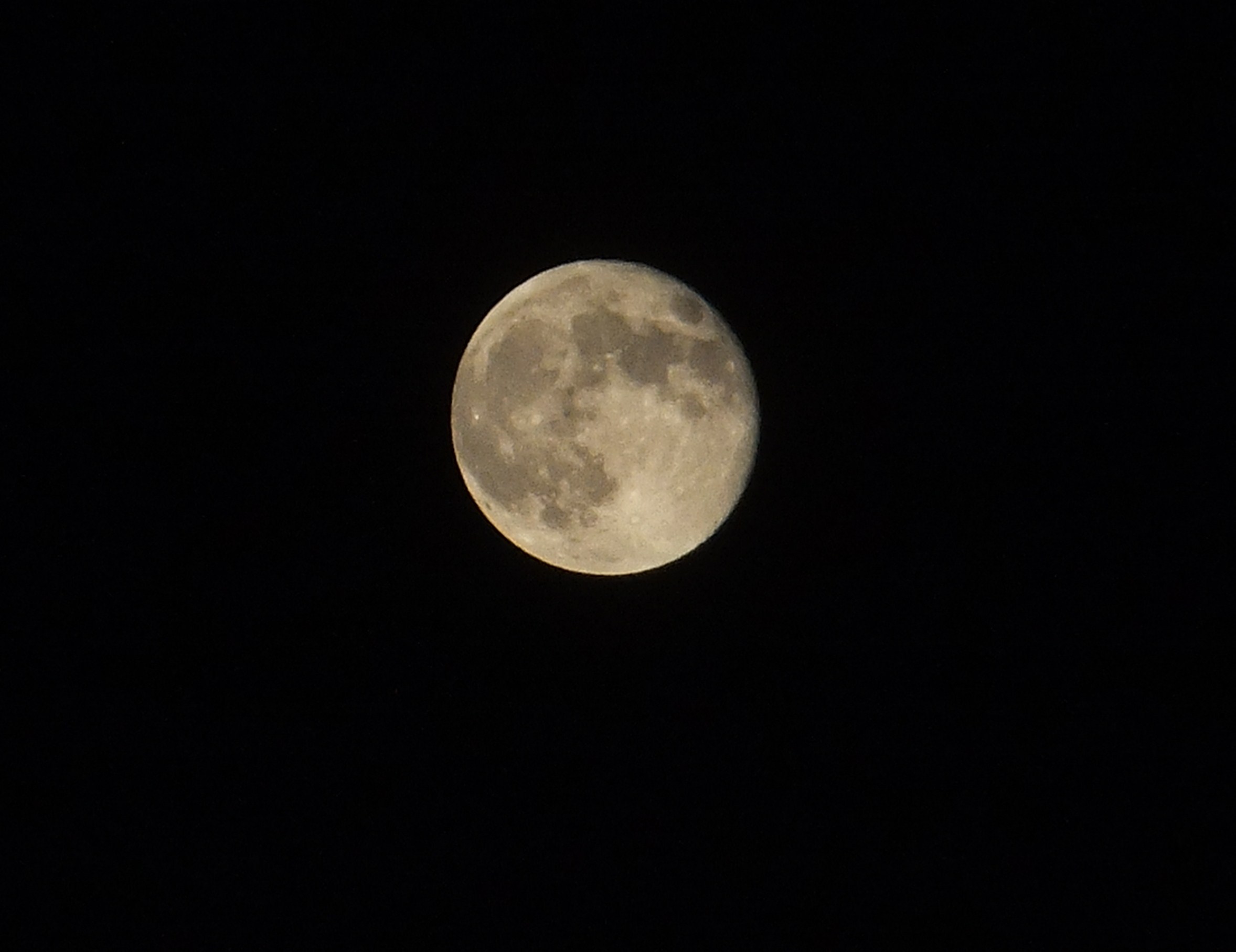 b0137932_2122770.jpg