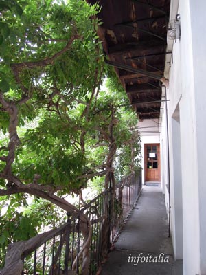 c0077533_341497.jpg