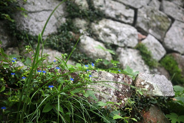 a0242438_19411266.jpg