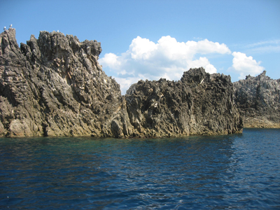 d0143739_1235444.jpg