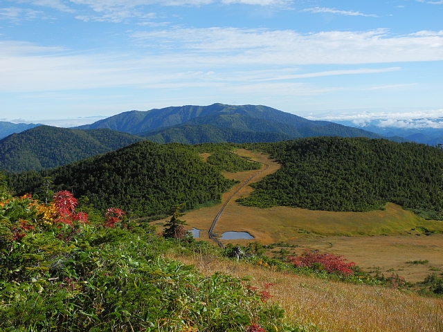 b0122448_211915.jpg
