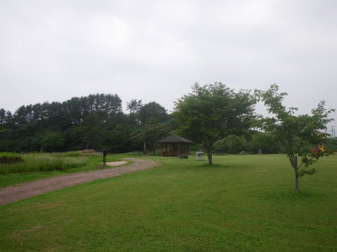 f0046250_1743494.jpg