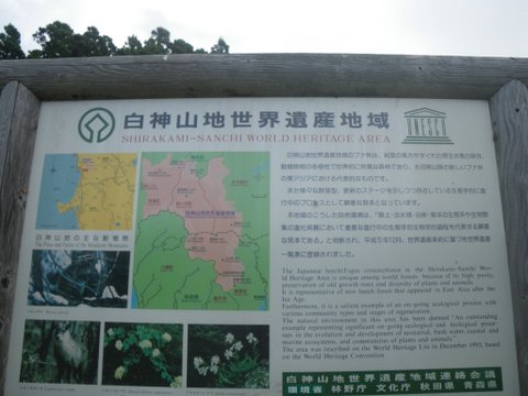 f0046250_1757395.jpg
