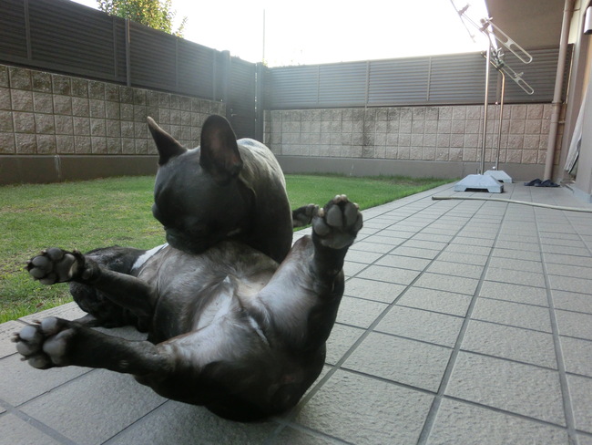 e0126054_937611.jpg