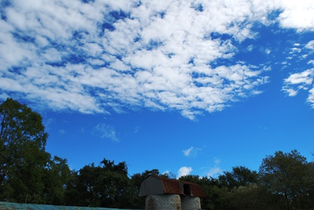 b0086858_1062152.jpg
