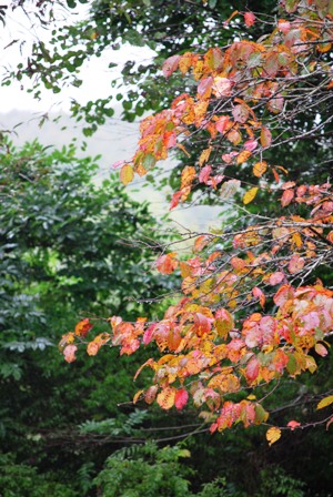 b0086858_16472959.jpg