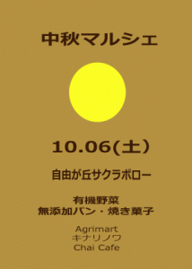 d0158258_220209.gif