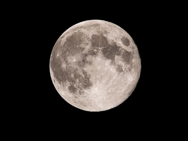 c0123363_756740.jpg