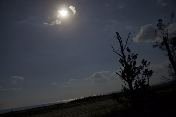 a0246566_10232597.png