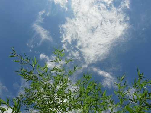 c0166668_22584220.jpg