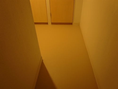 c0166668_2315772.jpg