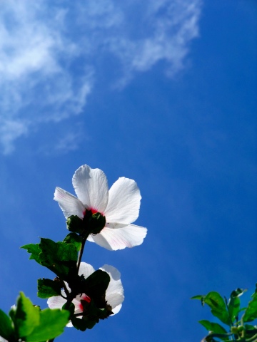 e0045768_2214264.jpg