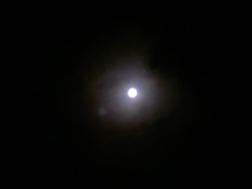 a0074069_0524878.jpg