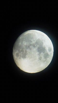 c0053571_197243.jpg