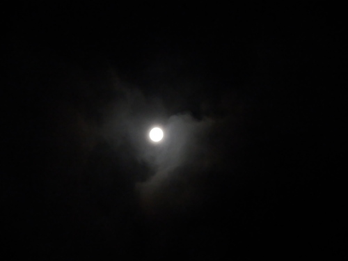 e0292172_20182822.jpg