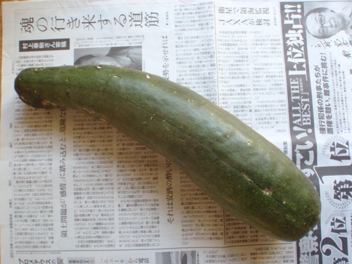 f0224772_20342415.jpg
