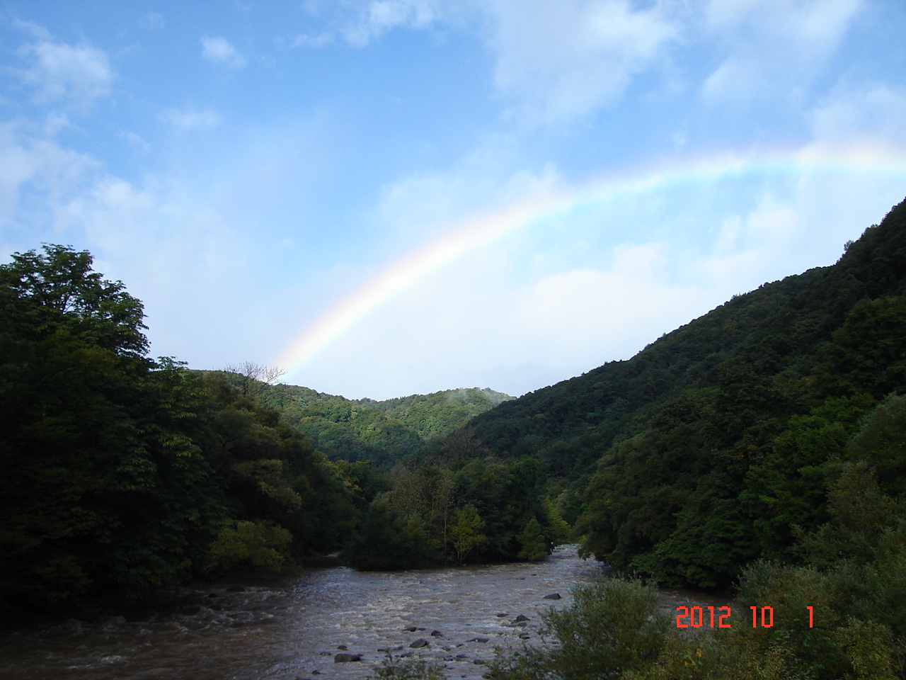a0188775_833811.jpg