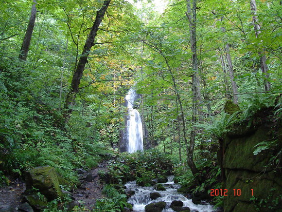 a0188775_8630100.jpg