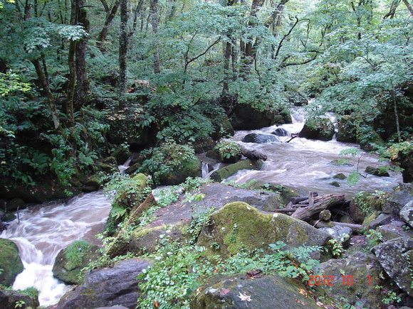 a0188775_86575.jpg