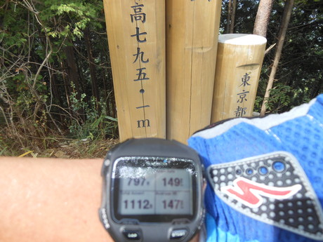 c0206177_8243836.jpg