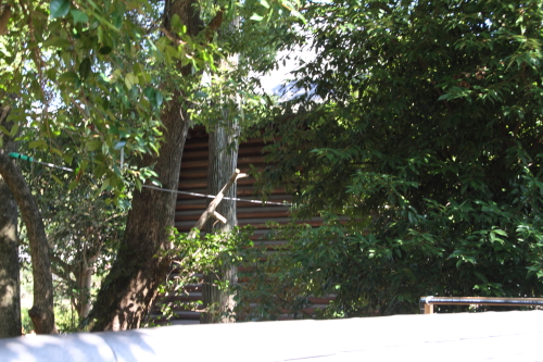 a0278378_2224491.jpg