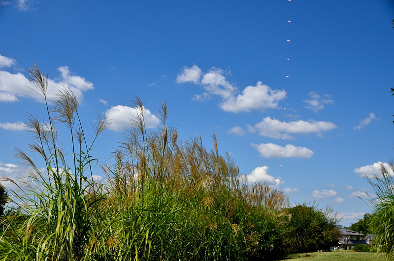f0108478_21234990.jpg